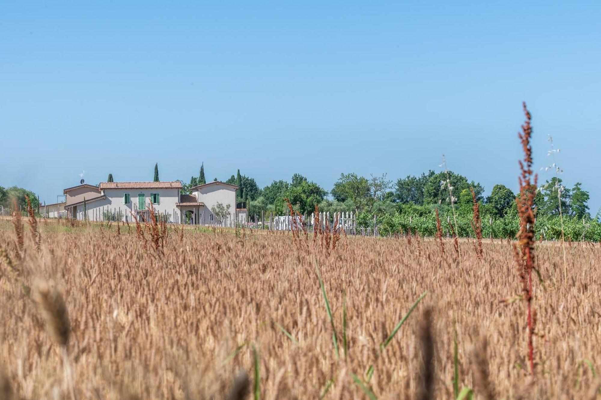 Natiia Relais - Adults Only Hotel Lazise Exterior photo